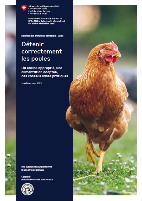 Image brochure poules